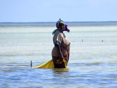 Zanzibar_SeaweedFarm2