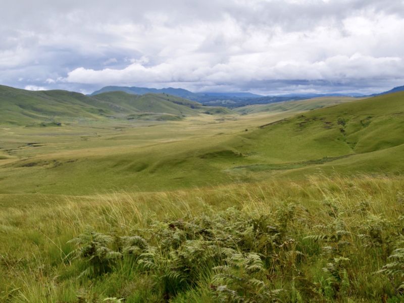 Walk through God’s Garden at Kitulo National Park - Chase the Sun